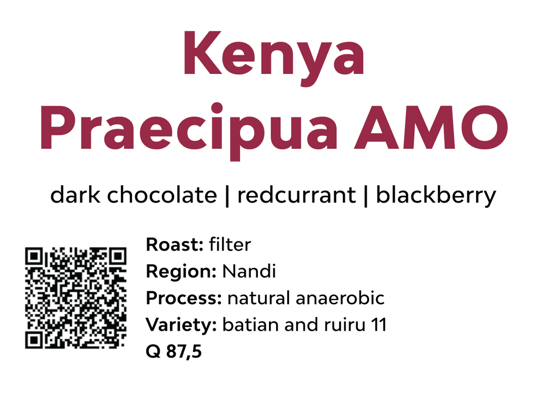 Kenya Praecipua AMO