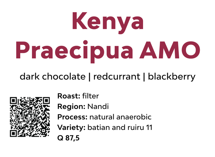 Kenya Praecipua AMO