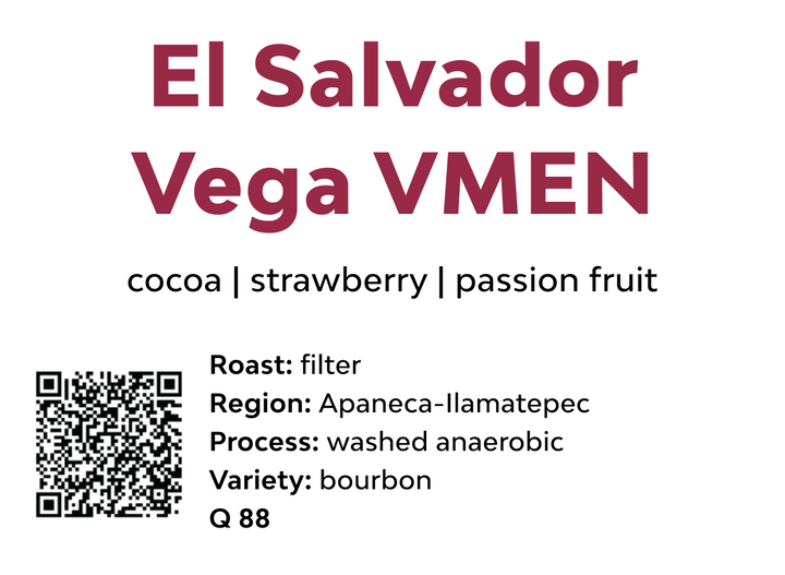 El Salvador Vega VMEN
