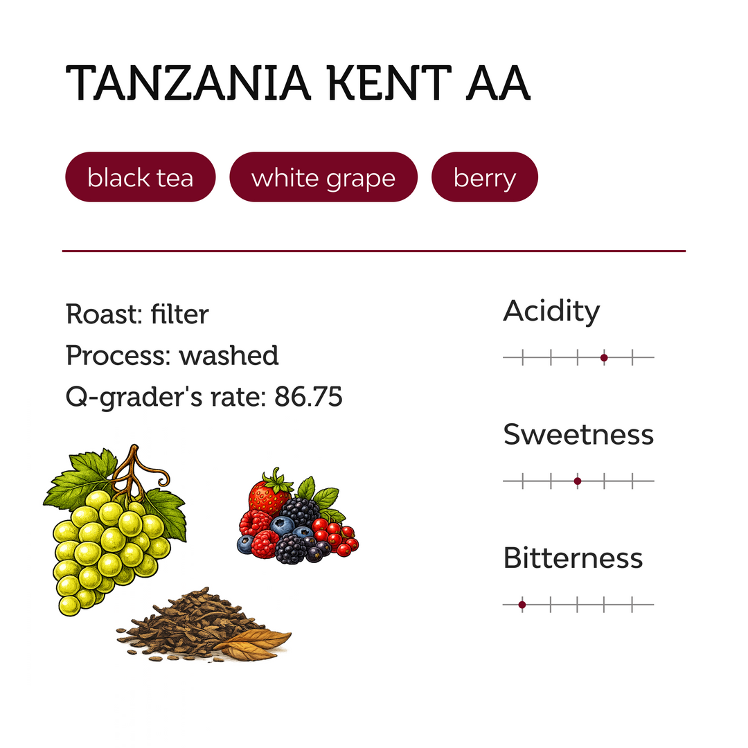 Tanzania Kent AA