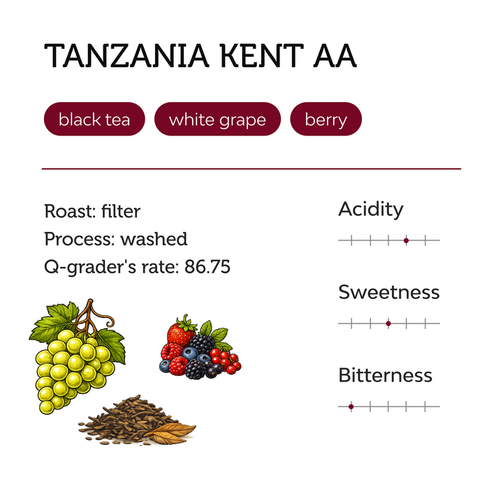 Tanzania Kent AA